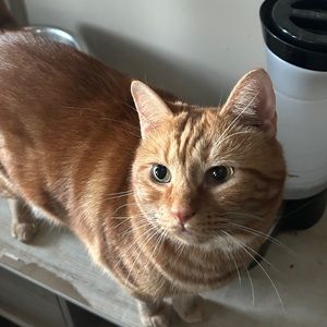 Meet your Posher, Marissa